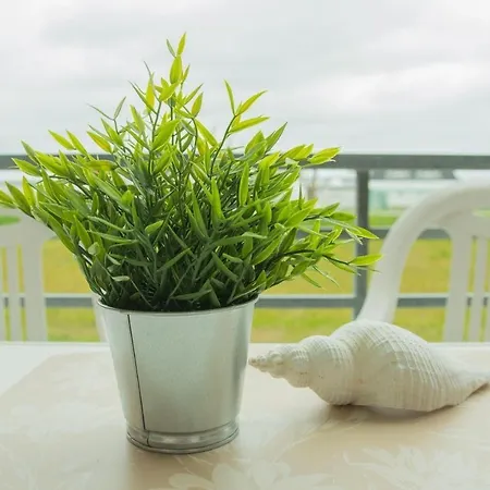 Haus-am-deich-wohnung-9